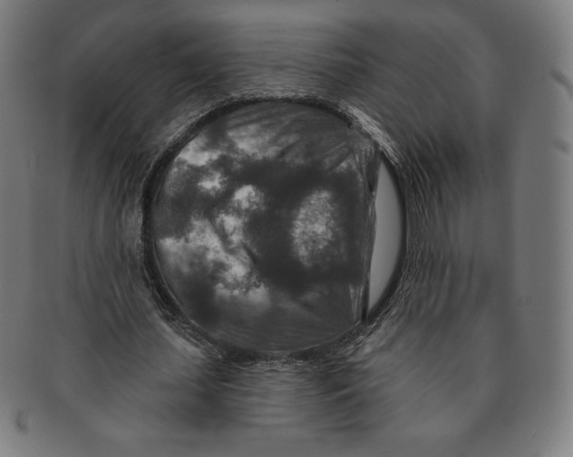 X0000090950627200708301140