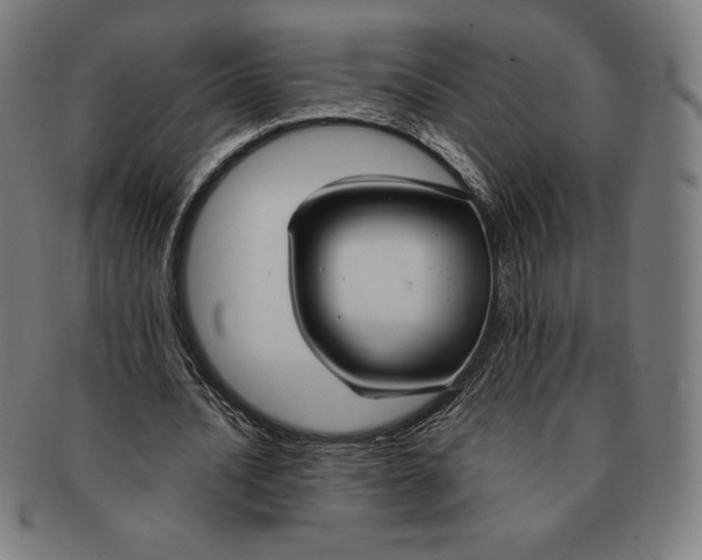 X0000090950628200708301140