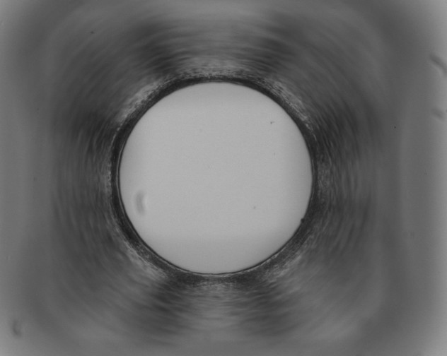X0000090950629200708301140