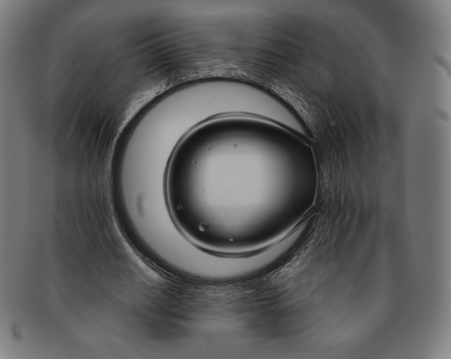 X0000090950630200708301140