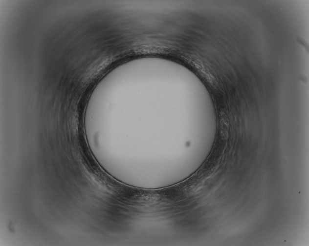X0000090950631200708301140