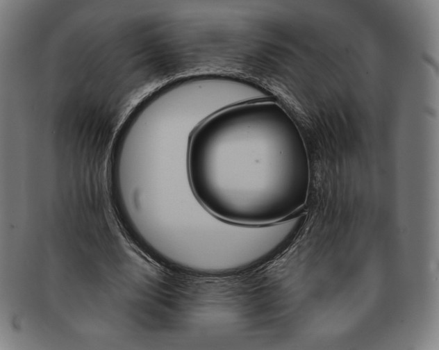 X0000090950632200708301140