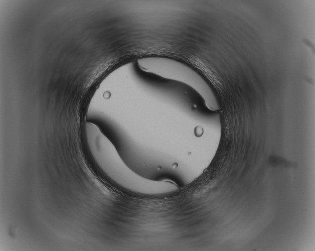 X0000090950634200708301140