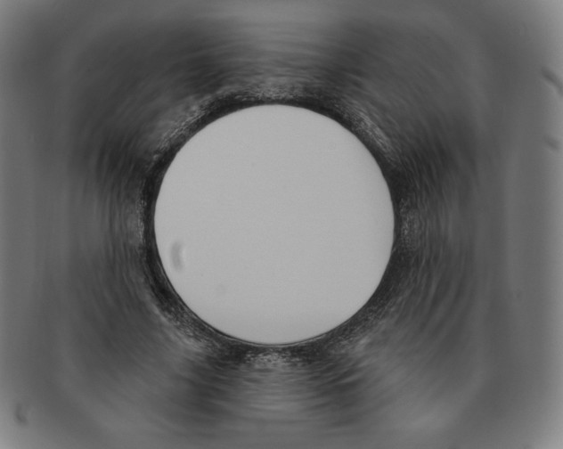 X0000090950635200708301141