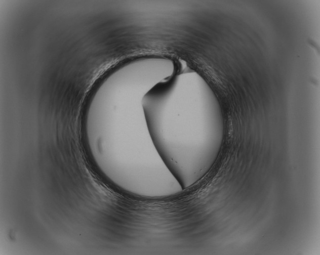 X0000090950636200708301141