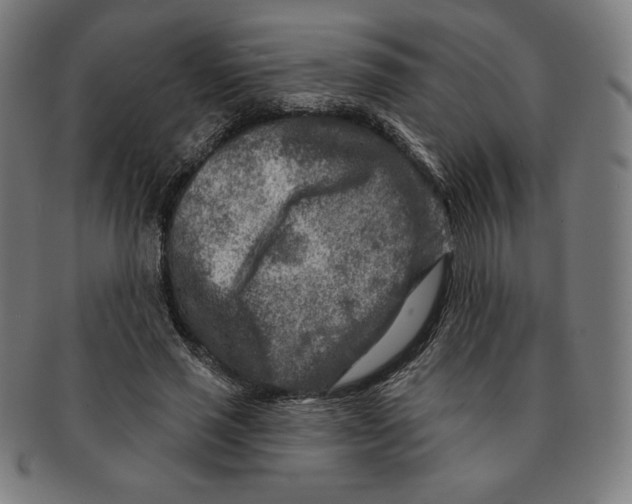 X0000090950637200708301141