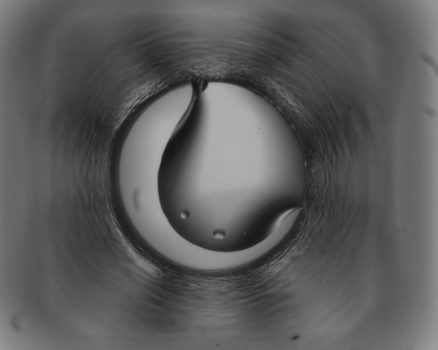 X0000090950638200708301141