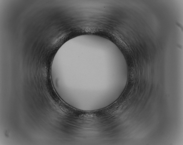 X0000090950639200708301141