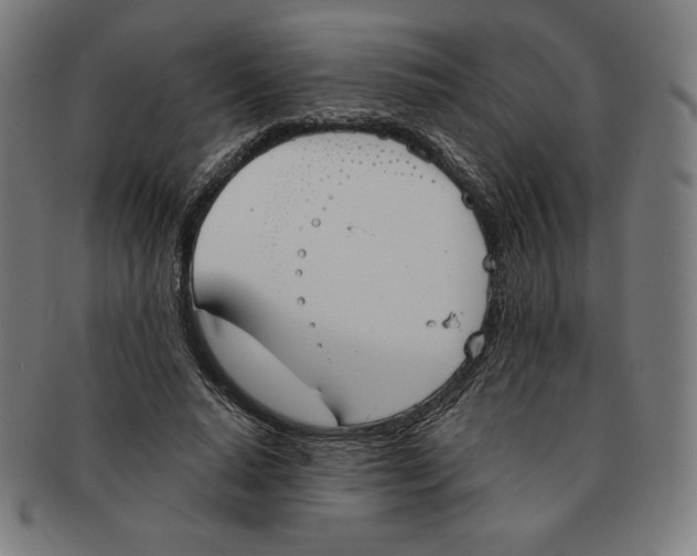 X0000090950640200708301141