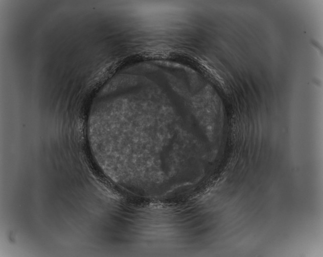X0000090950641200708301141