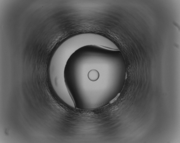 X0000090950642200708301141