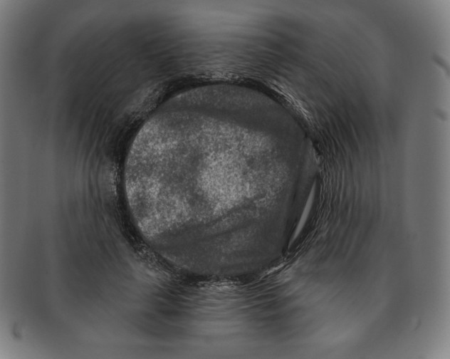 X0000090950643200708301141