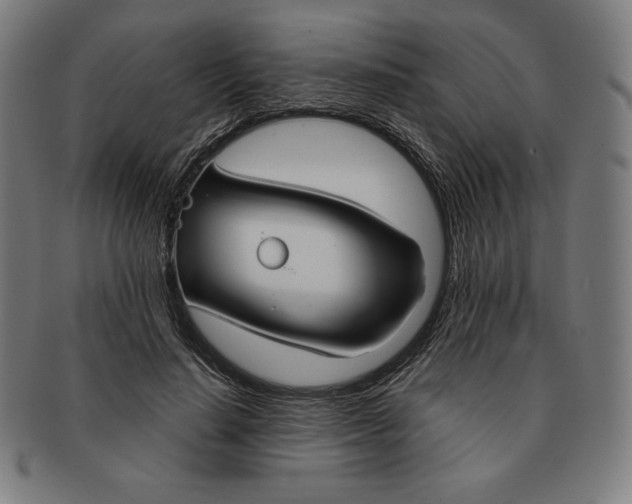 X0000090950644200708301141