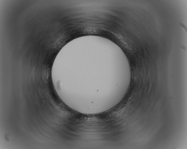 X0000090950645200708301141