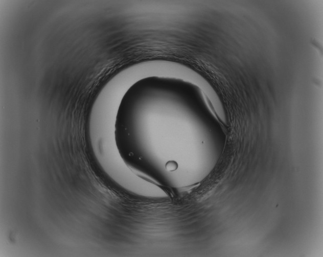 X0000090950646200708301141
