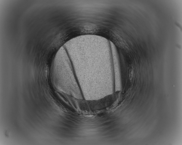 X0000090950647200708301141