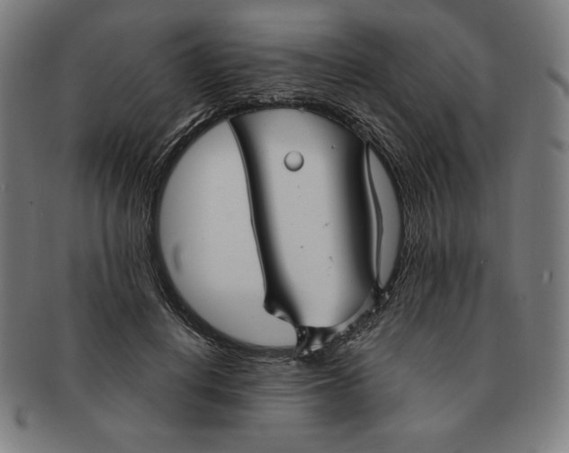 X0000090950648200708301141