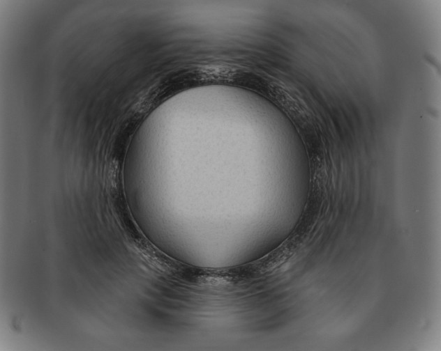 X0000090950649200708301141