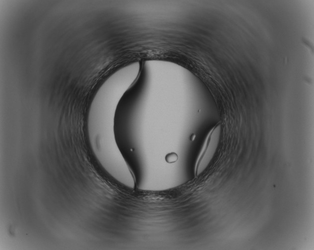 X0000090950650200708301141