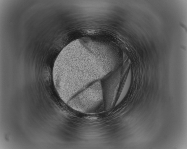 X0000090950651200708301141