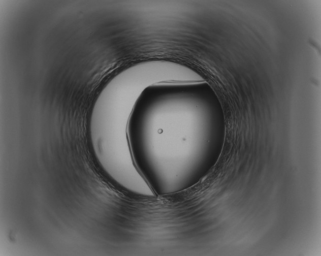 X0000090950652200708301141