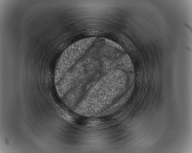 X0000090950653200708301141