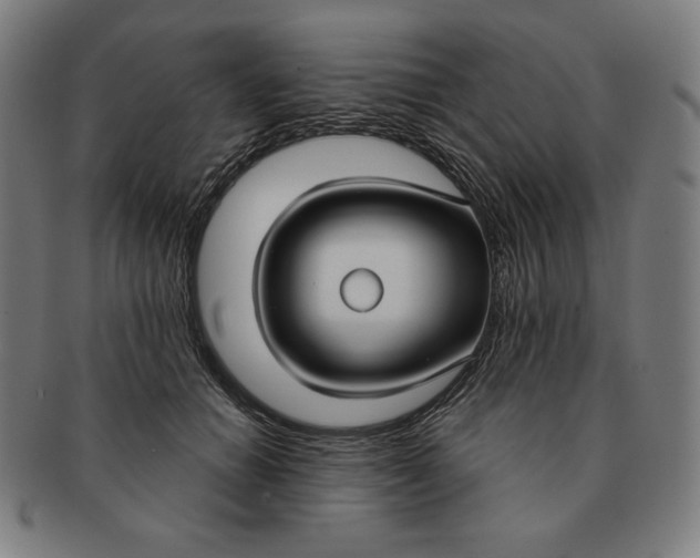 X0000090950654200708301141