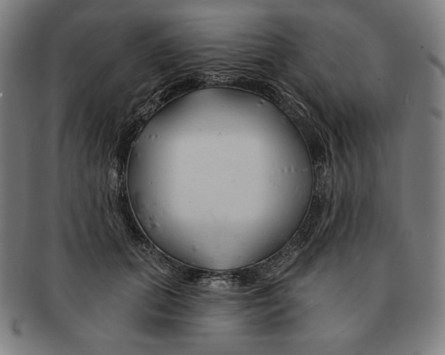 X0000090950655200708301141