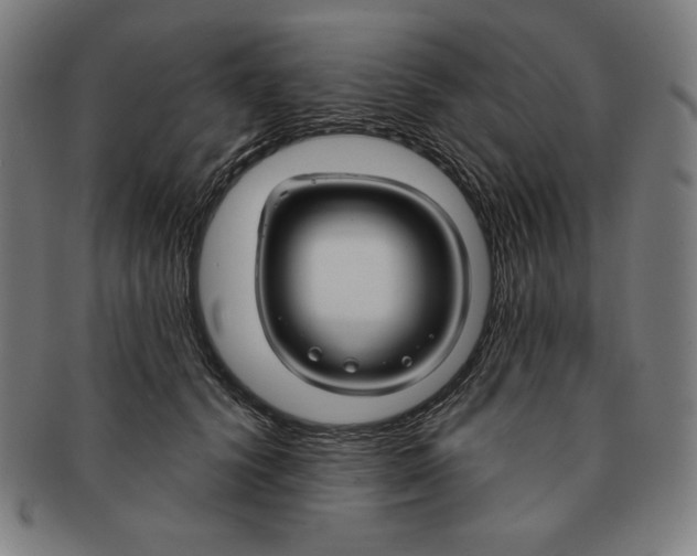 X0000090950656200708301141