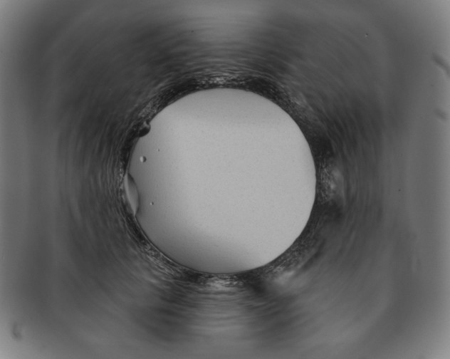 X0000090950657200708301141