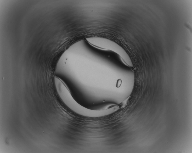 X0000090950658200708301141