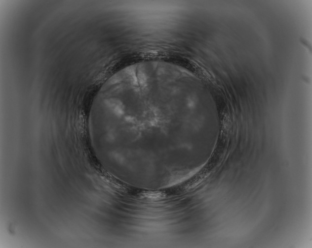 X0000090950659200708301141