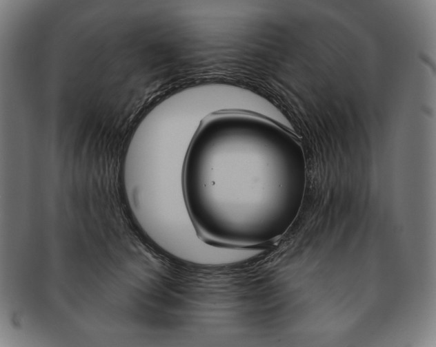 X0000090950660200708301141