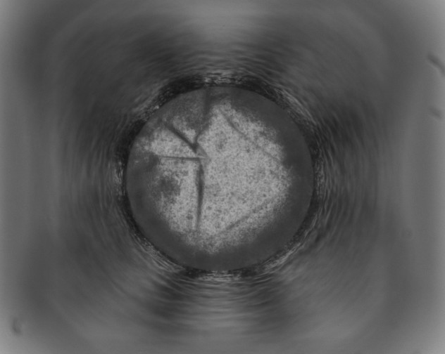 X0000090950661200708301141