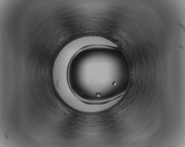 X0000090950662200708301141