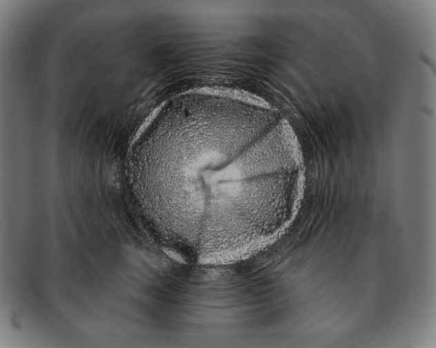 X0000090950663200708301141