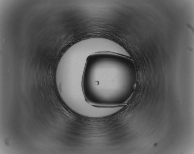 X0000090950664200708301141