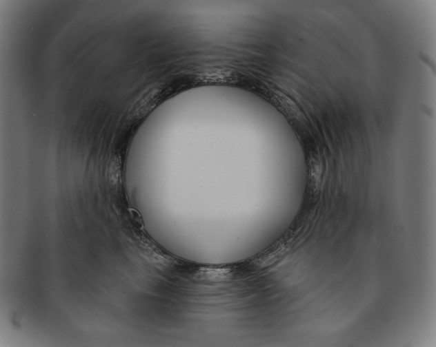 X0000090950665200708301141