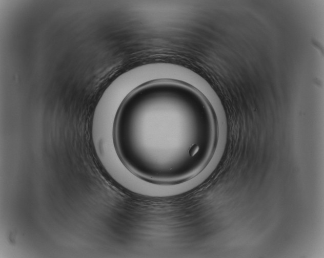 X0000090950666200708301141