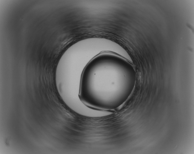 X0000090950668200708301141