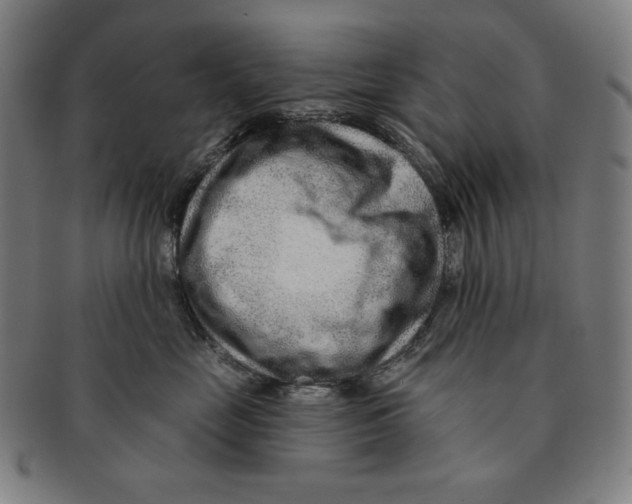 X0000090950669200708301141
