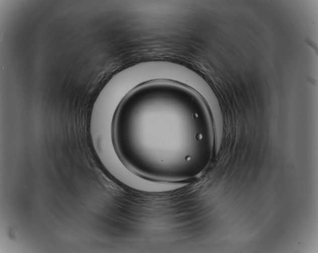 X0000090950670200708301141