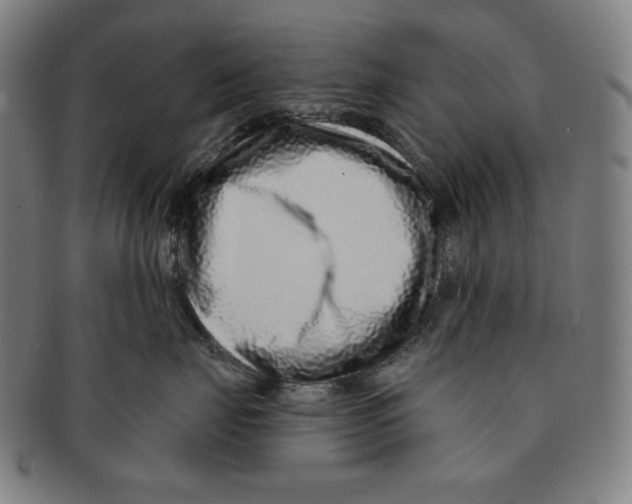 X0000090950671200708301141
