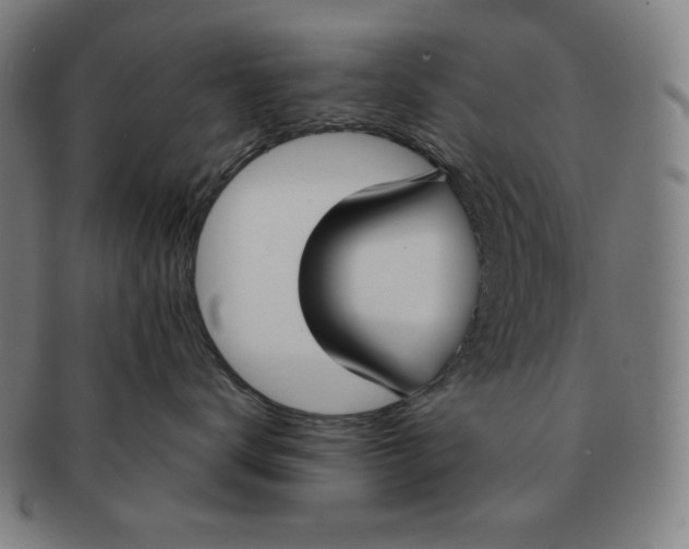 X0000090950672200708301141