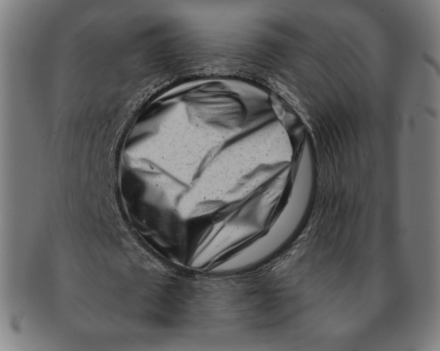 X0000090950673200708301140