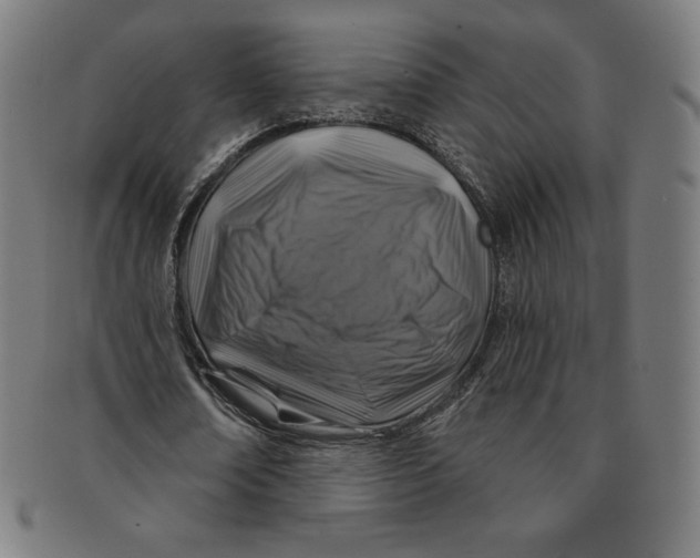 X0000090950674200708301140