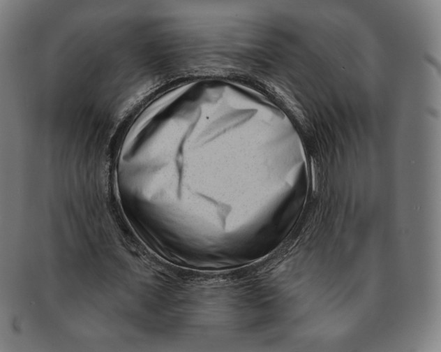 X0000090950675200708301140