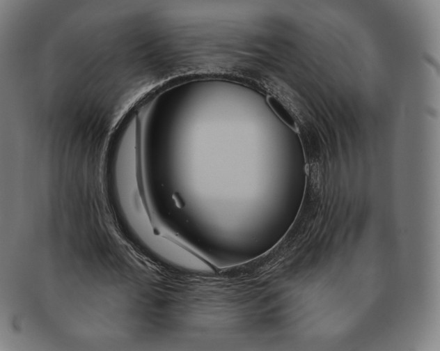 X0000090950676200708301140