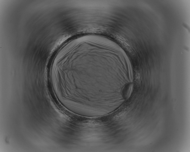 X0000090950678200708301140
