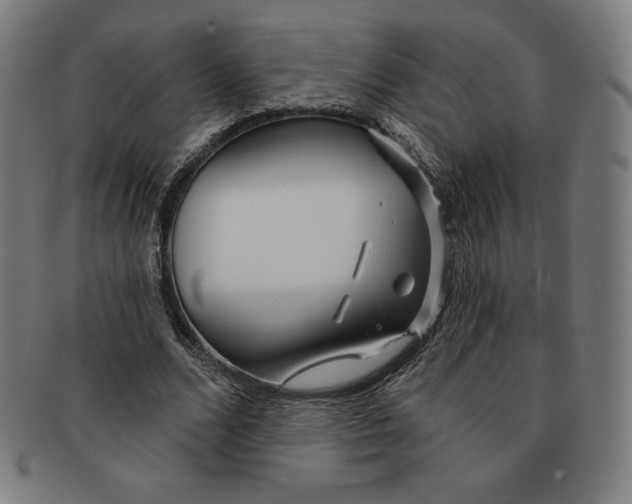 X0000090950680200708301140